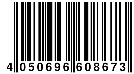 4 050696 608673