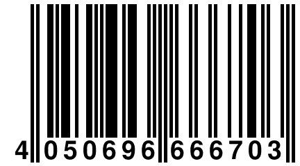 4 050696 666703