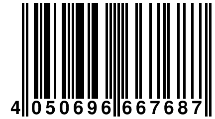 4 050696 667687