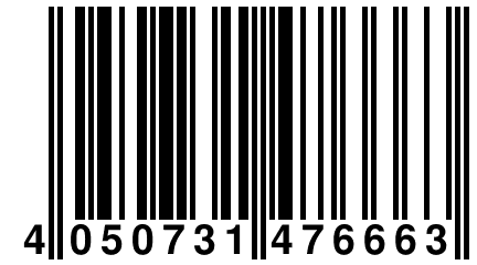 4 050731 476663