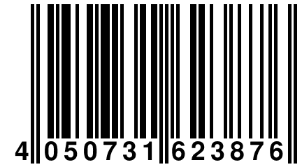 4 050731 623876