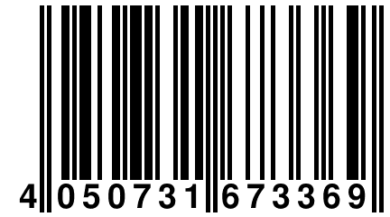 4 050731 673369