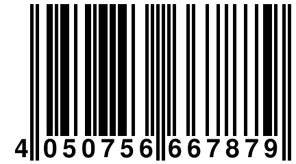 4 050756 667879