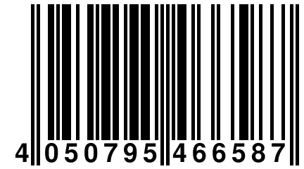 4 050795 466587