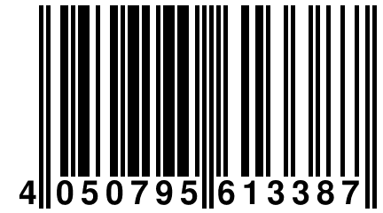 4 050795 613387