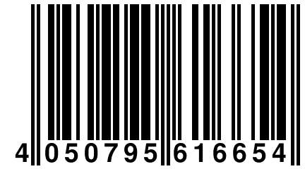 4 050795 616654