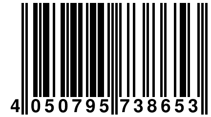 4 050795 738653