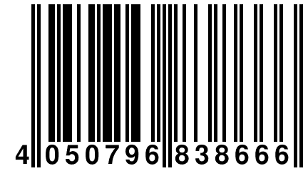 4 050796 838666