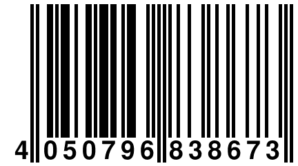 4 050796 838673