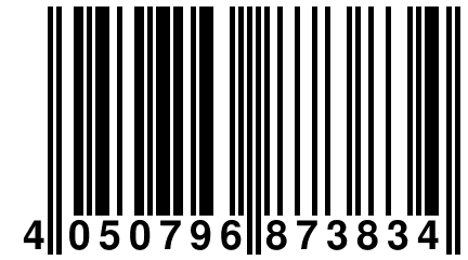 4 050796 873834