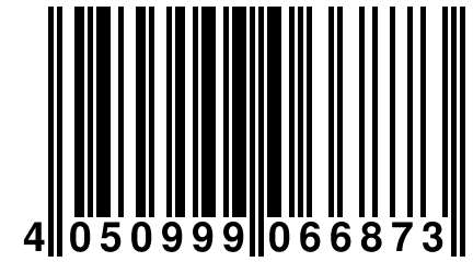 4 050999 066873