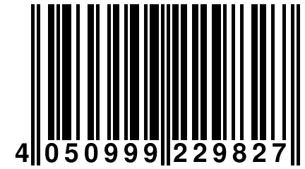 4 050999 229827