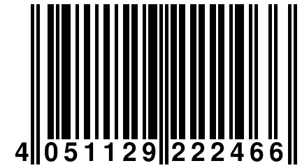 4 051129 222466