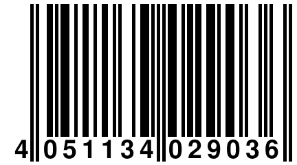 4 051134 029036