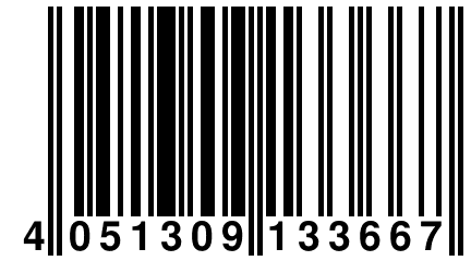 4 051309 133667