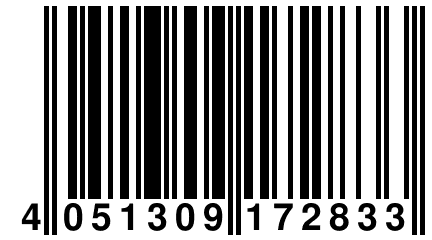 4 051309 172833