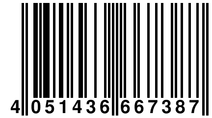 4 051436 667387