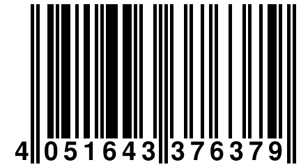 4 051643 376379