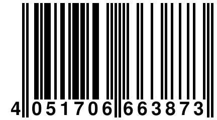 4 051706 663873