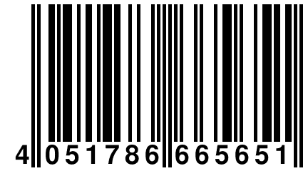 4 051786 665651