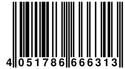 4 051786 666313