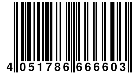 4 051786 666603