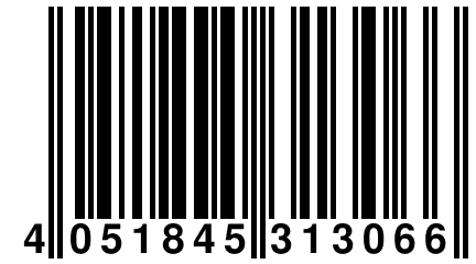 4 051845 313066