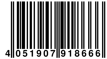 4 051907 918666