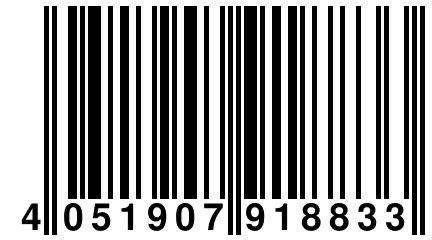 4 051907 918833