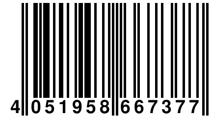 4 051958 667377