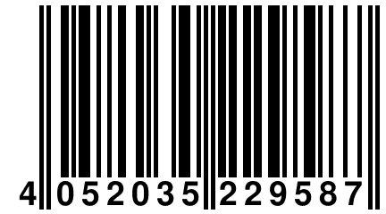 4 052035 229587