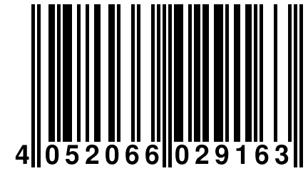 4 052066 029163