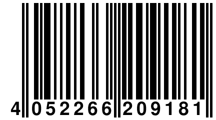 4 052266 209181