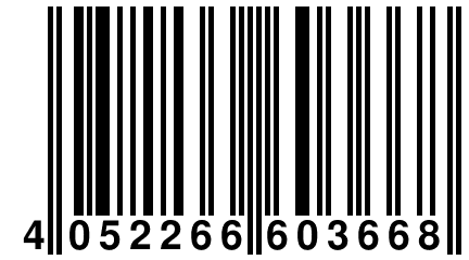 4 052266 603668