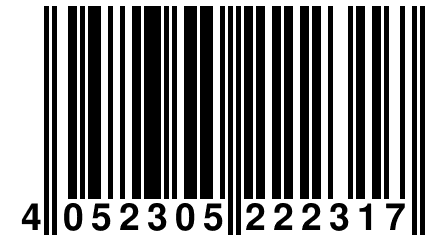 4 052305 222317