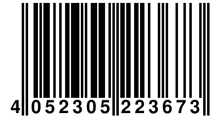 4 052305 223673