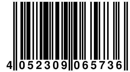 4 052309 065736