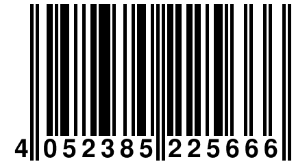 4 052385 225666