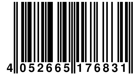 4 052665 176831