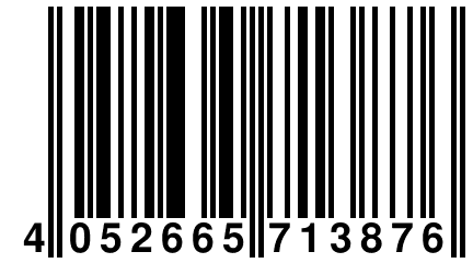 4 052665 713876