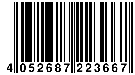 4 052687 223667