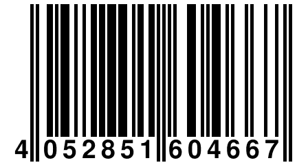 4 052851 604667