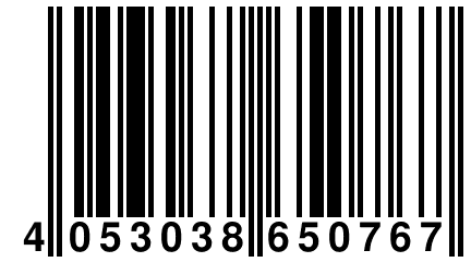 4 053038 650767