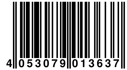 4 053079 013637