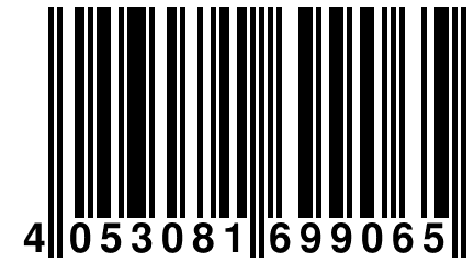 4 053081 699065