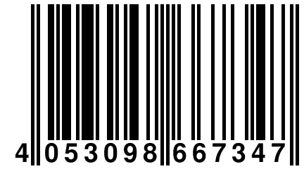 4 053098 667347