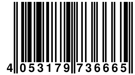 4 053179 736665