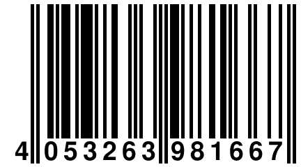 4 053263 981667