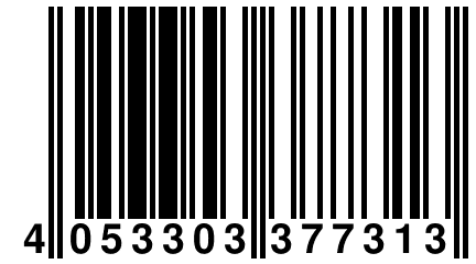 4 053303 377313