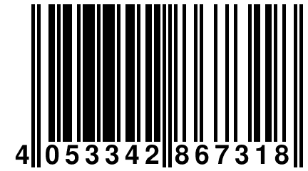 4 053342 867318